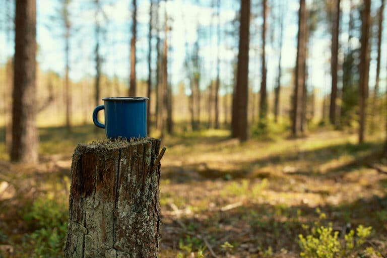 Mugg på stubbe